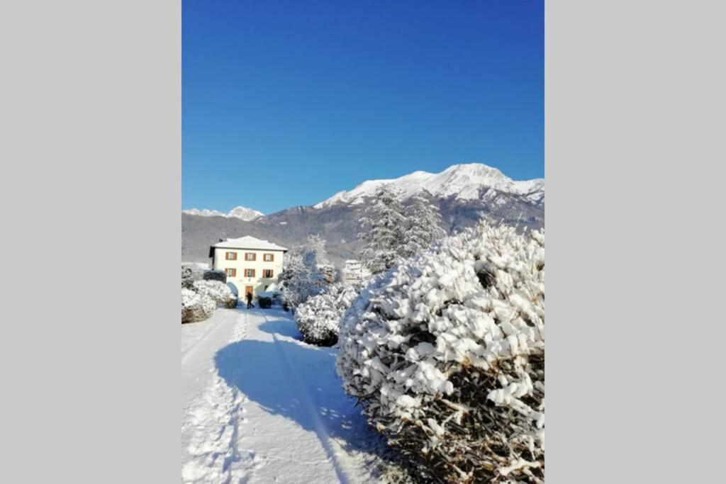 Villa Perale: La Tua Casa Alle Pendici Delle Dolomiti Беллуно Екстер'єр фото